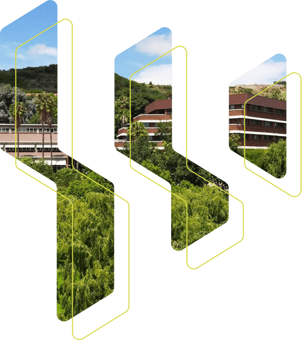 WTSA Logo